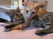 574261706_24922413297397334_6576840675603998155_n