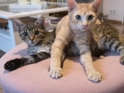 576882532_24922413050730692_5094190667780022971_n