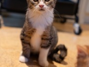 590577218_25361064370199911_7950840040464781810_n