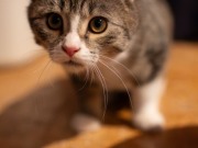 590667383_25361064196866595_1876219444432316969_n