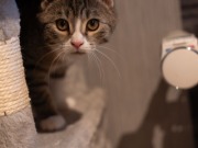 592058532_25361064570199891_8616097383156409490_n