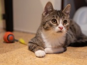 592355163_25361068076866207_5384184923285299078_n