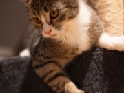 593807814_25361066700199678_482105407525873434_n