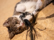 593855271_25361065036866511_8580139188673456338_n