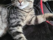 545656218_10213884771830995_3825171941883548119_n