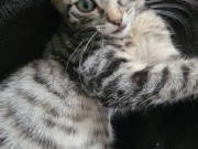 545878473_10213884772791019_60886547687821579_n