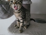 547774710_10214016401441653_4640964068524520093_n