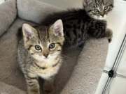 514442272_24165439269753766_1580610294654311402_n