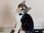 525042923_24969245872665042_3716185950791468924_n