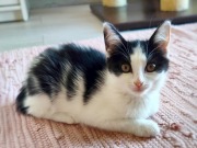 525204416_24969243342665295_907809161923094514_n