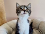 525242190_24969246362664993_4696301563359219098_n