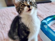 525960415_24969246095998353_4436701377686052637_n