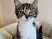 526237493_24969246775998285_6920130903407359296_n