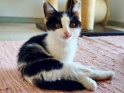 526349536_24969243609331935_8625188794907296608_n