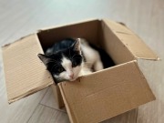 526808154_24983290527927243_2170010494143922258_n