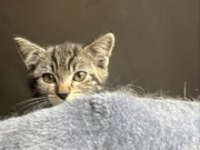 515971284_24331576066467133_2151679476250061912_n