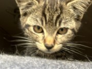 515991266_24331575949800478_332438141134049505_n