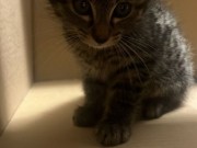 516734677_24325294043762002_339237825477811458_n