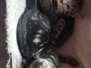 543202343_24845524421738959_5167298895633907171_n