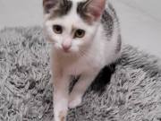 516807524_24501850272756432_2430244230686215233_n