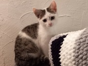 516981810_24501850632756396_2672977851249820715_n