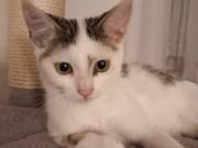 518331561_24557591100515682_2992619122989042165_n