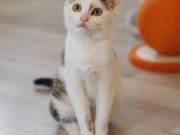 518359853_10235160242924822_4092523393995717915_n