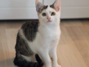 518768599_10235160241764793_2056121970418477308_n