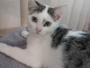 519363752_24557592763848849_3668909680382454450_n