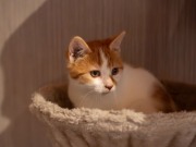 589535526_25361063800199968_8300588192627738839_n