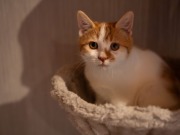 590051285_25361063723533309_8433260629369330088_n