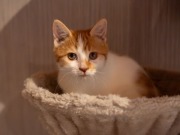 591434410_25361063820199966_45962263935286408_n