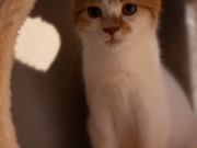 592657025_25361064263533255_183857906894523029_n