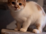 594068499_25361063626866652_5986313923732458259_n