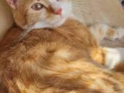 652576154_3639549549516574_2706850783039336790_n