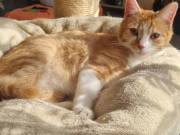 652610917_3639549499516579_3372415432530041619_n