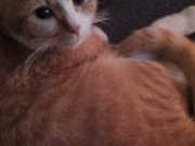 652867900_3639549369516592_6364878471585625639_n