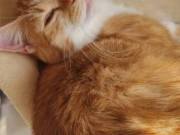 653055590_3639549429516586_8551543926494011923_n