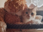 653706081_3639549316183264_1620770086621333564_n