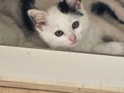 560653358_10216513346104236_494961545649704297_n