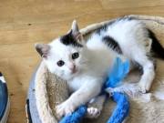 561091626_10216513335503971_595899688788493693_n