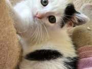 565105786_10216513346024234_5061551484701811318_n