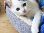 565668878_10216513336463995_1278228705975378980_n