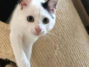 583327605_10216704285837610_2535173868435874328_n