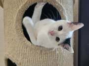 585563663_10216704289237695_8432142936671118774_n