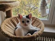 586420759_10216704286677631_234466669468677119_n