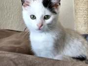 587010660_10216704290357723_3947589620745664084_n