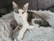 544979184_10213884749990449_5339468010411952249_n