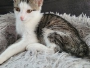 545359237_10213884750590464_5297314320206859666_n