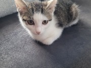 545641945_10213884750910472_4983766891529510095_n